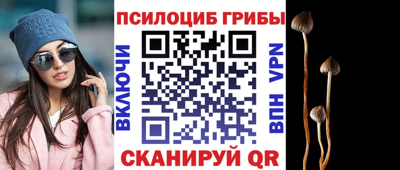 Галлюциногенные грибы прущие грибы Щёкино